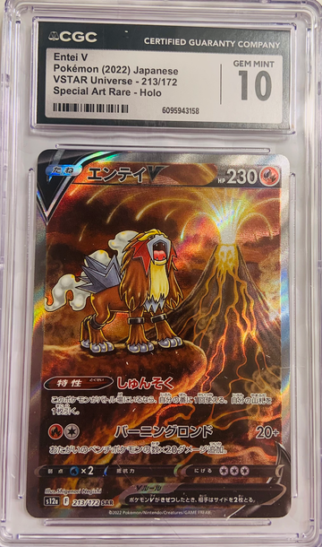 Enter V VSTAR Universe Special Art Rare Holo 213/172