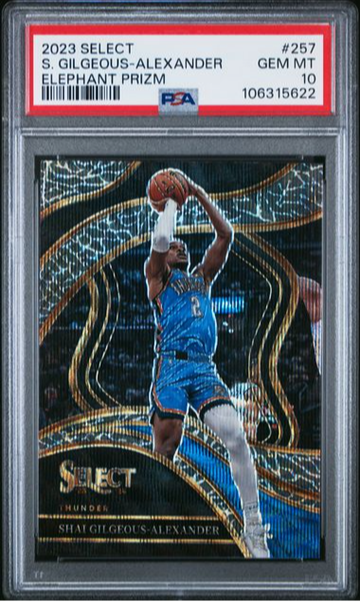 2023 PANINI SELECT SHAI GILGEOUS-ALEXANDER COURTSIDE ELEPHANT PRIZM #257 PSA 10