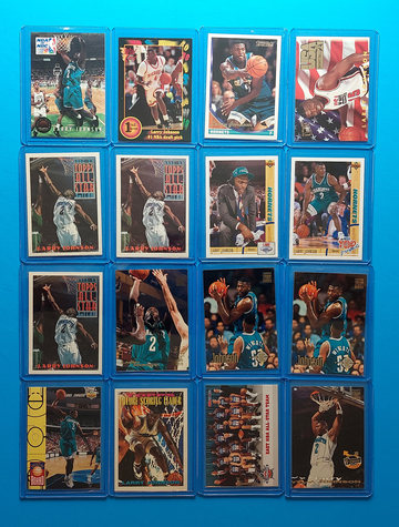 Larry Johnson RC & base 16 card lot.