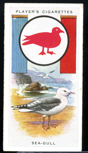 1933 Player’s Cigarettes Boy Scout & Girl Guide Patrol Signs #18 SEA-GULL Card