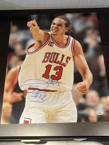 Joakim Noah Signed Autographed 16x20 Photo Bulls PSA/DNA COA