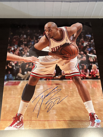 Taj Gibson Signed Autographed 16x20 Photo Bulls PSA/DNA COA