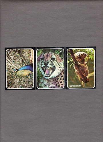 Lot of (3) 1975 Topps Zoo Whos Sticker #12 Peacock #15 Ocelot #22 Koala Bear NM