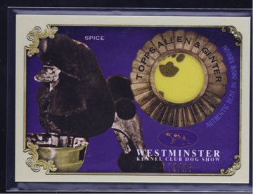 2024 Topps Allen & Ginter Spice Stars of the Show Westminister Dog Show Ribbon Relic