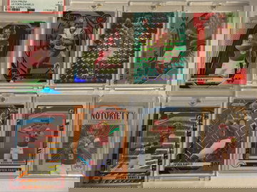 2024 Jayden Daniels Rookie Lot 8 Card Lot Prizm Variation PSA 9, Optic, Select, Illusions numbered