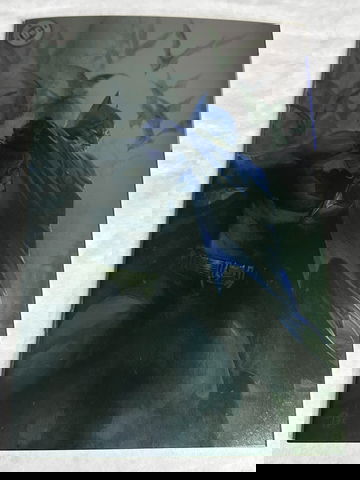 Batman #1 (2025) Dell'Otto Blind Bag Foil Variant NM DC Comics