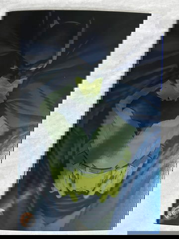 Batman #1 (2025) Tedesco Blind Bag Foil Variant NM DC All-In Fraction