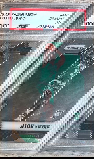 Jaylen Brown Panini Prizm