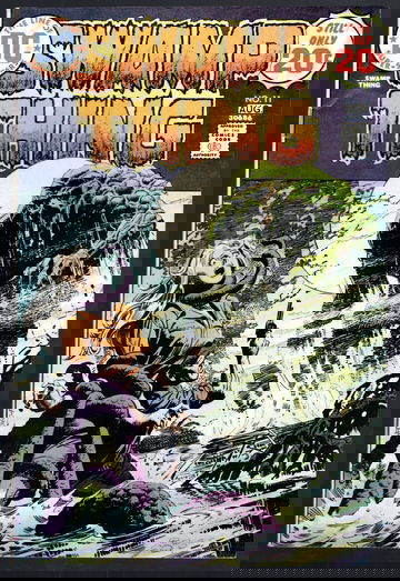 1970 DC Swamp Thing #11 Comic Book  F/VF+ Sweet Book