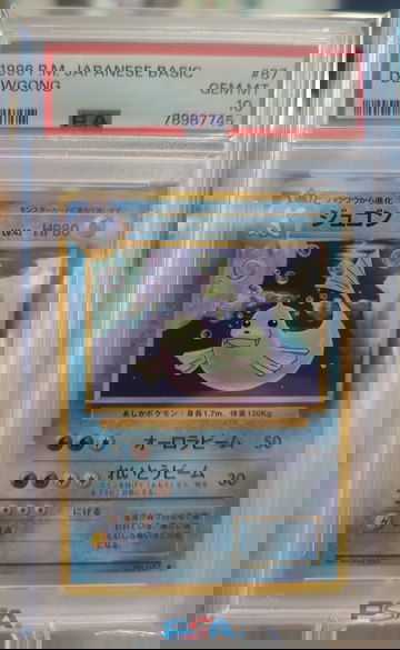1996 Pokemon Japanese Basic Dewgong PSA 10