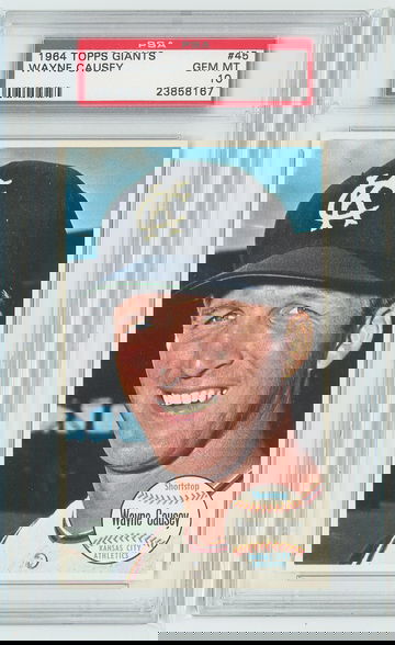 1964 Topps Giants (Now Retired) #3 PSA Registry Set Break. #45 Wayne Causey PSA 10