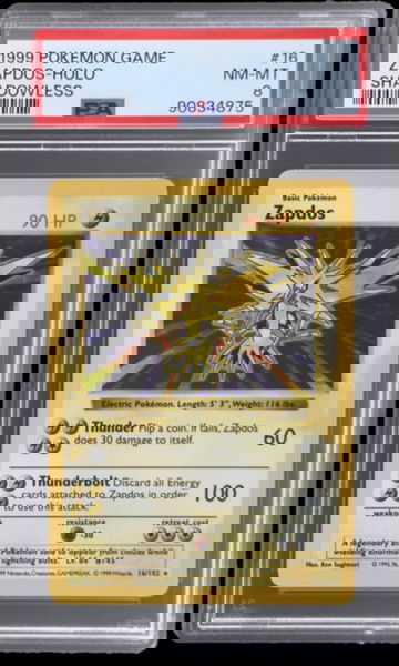 1999 Pokémon Zapdos Holo Shadowless Base Set PSA 8