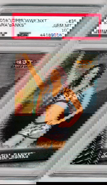 2016 Topps WWE NXT Sasha Banks