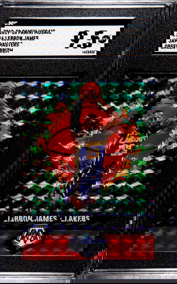 Lebron James SGC 9.5