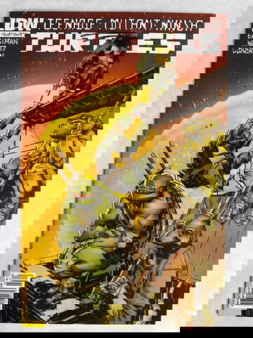 Teenage Mutant Ninja Turtles #3 (2011) | IDW | Cover A Dan Duncan | NM-