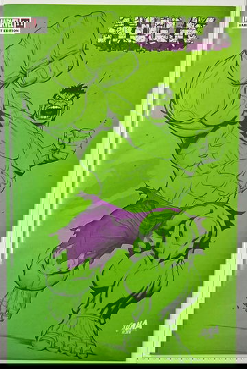 HULK #11 (2023) David Nakayama VARIANT Unknown Comics Edition