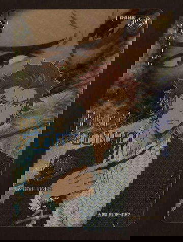 Solo Leveling *UR SL1E-087 BAEK YOONHO