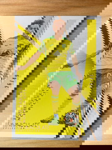 2021 Pannini Immaculate Soccer Josh Sargent /49 Norwich City