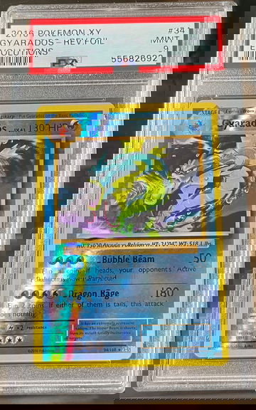 2016 Pokémon XY Evolutions Gyarados Foil PSA 9