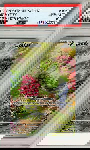 2023 POKEMON PAL EN-PALDEA EVOLVED SPRIGATITO #196 ILL RARE PSA 10