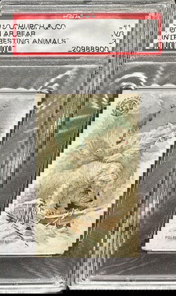 1898 J10 Church & Co Interesting Animals Polar Bear