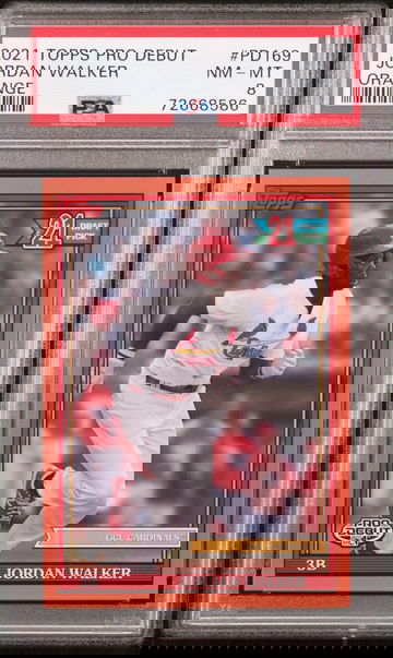 2021 Topps Pro Debut Jordan Walker Orange /25 PSA 8 St Louis