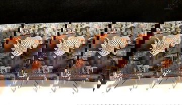 (4) NAOMI  2025 Topps Chrome Cactus Jack WWE #92