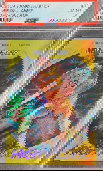 LeBron James High Voltage