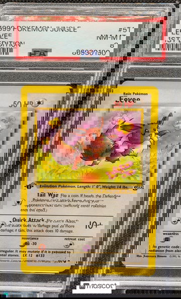 1999 Pokemon Jungle Eevee #51 1st Edition PSA 8