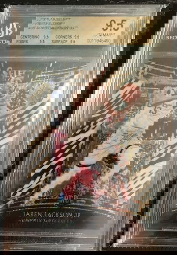 2018 Jaren Jackson select zebra rookie 9.5 true gem