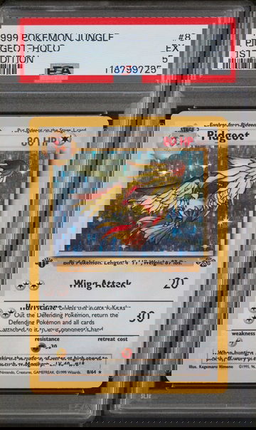 1999 Pokemon Jungle 1st Edition Holo Pidgeot #8 PSA 5
