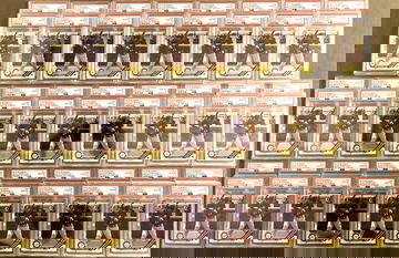 Julio Rodriguez 1st Bowman Chrome x52 (All gem)