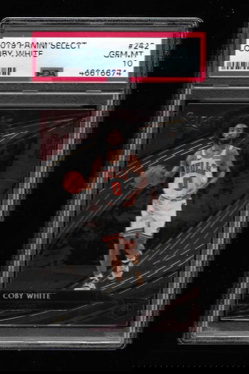 2019 SELECT COBY WHITE #242 COURTSIDE