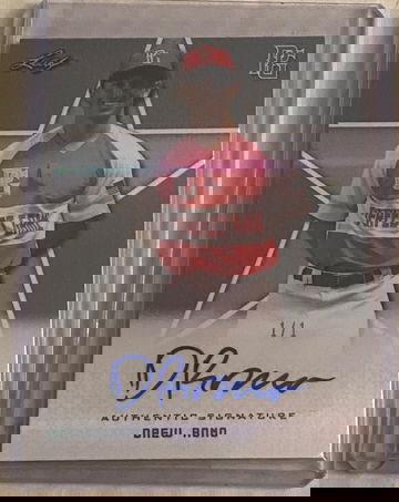 2019 Leaf Perfect Game Drew Romo 1/1 auto 