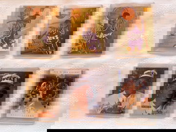 RAY ALLEN 24-card 1996-97 RC, Ultimate Collection, Refractor lot