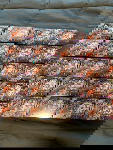 2019-20 Panini illusions blaster 20 box lot