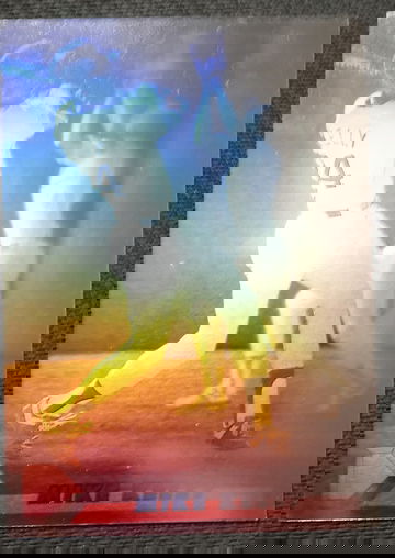 Mike Kelly college player of the year