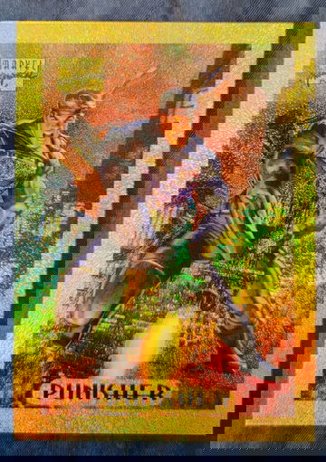 1994 Marvel Masterpieces Holofoil GOLD Punisher