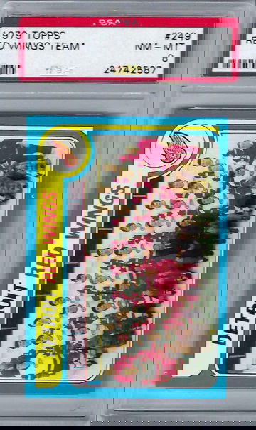 1979 Topps Detroit Red Wings #249 *PSA 8*