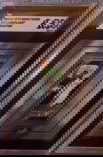 2003-04 Topps Rookie Matrix Framed Mini Lebron James