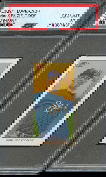 2020 Topps T206 MacKenzie Gore Piedmont Back PSA 10