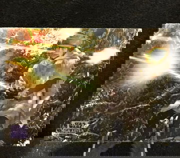 2025 Star Wars Topps Galaxy  CHROME parallel  Luke Skywalker VS Scout Trooper  SP