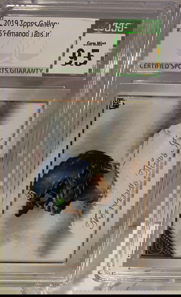 Fernando Tatis Jr Topps Gallery Rc