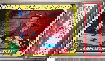 POP 1 PSA 10 Splinter 1990 Topps Ireland TMNT Teenage Mutant Hero Turtles 1st Ed