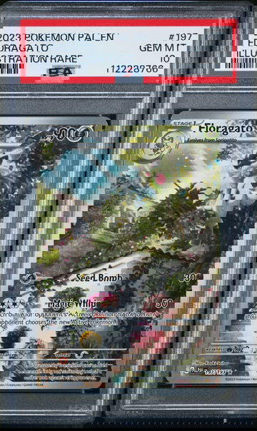 2023 POKEMON PAL EN-PALDEA EVOLVED ILLUSTRATION RARE FLORAGATO #197 PSA 10