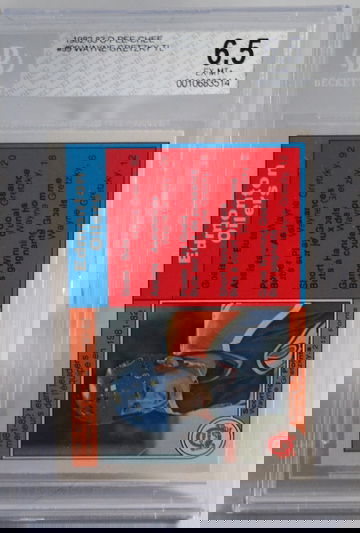 Wayne Gretzky O-Pee-Chee