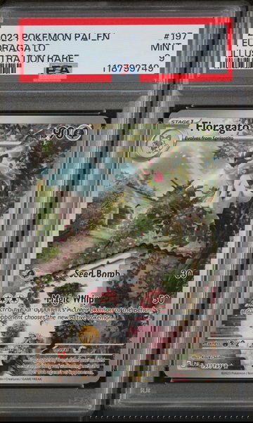 2023 Pokemon Scarlet and Violet Paldea Evolved Illustration Rare Floragato #197 PSA 9