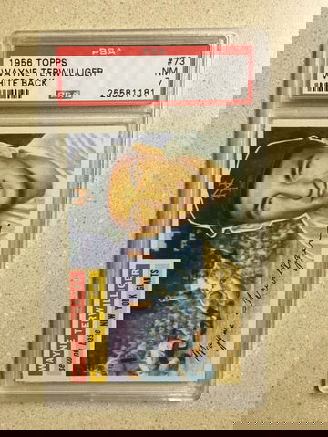 1956 Topps #73 Wayne Terwilliger PSA 7 NM WHITE BACK GIANTS