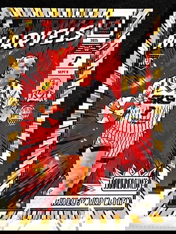 2025 Panini Donruss WNBA #24  HAILEY VAN LITH RC  Net Marvels SP  Chicago Sky