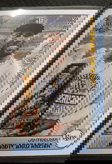 Randy Arozarena award winners